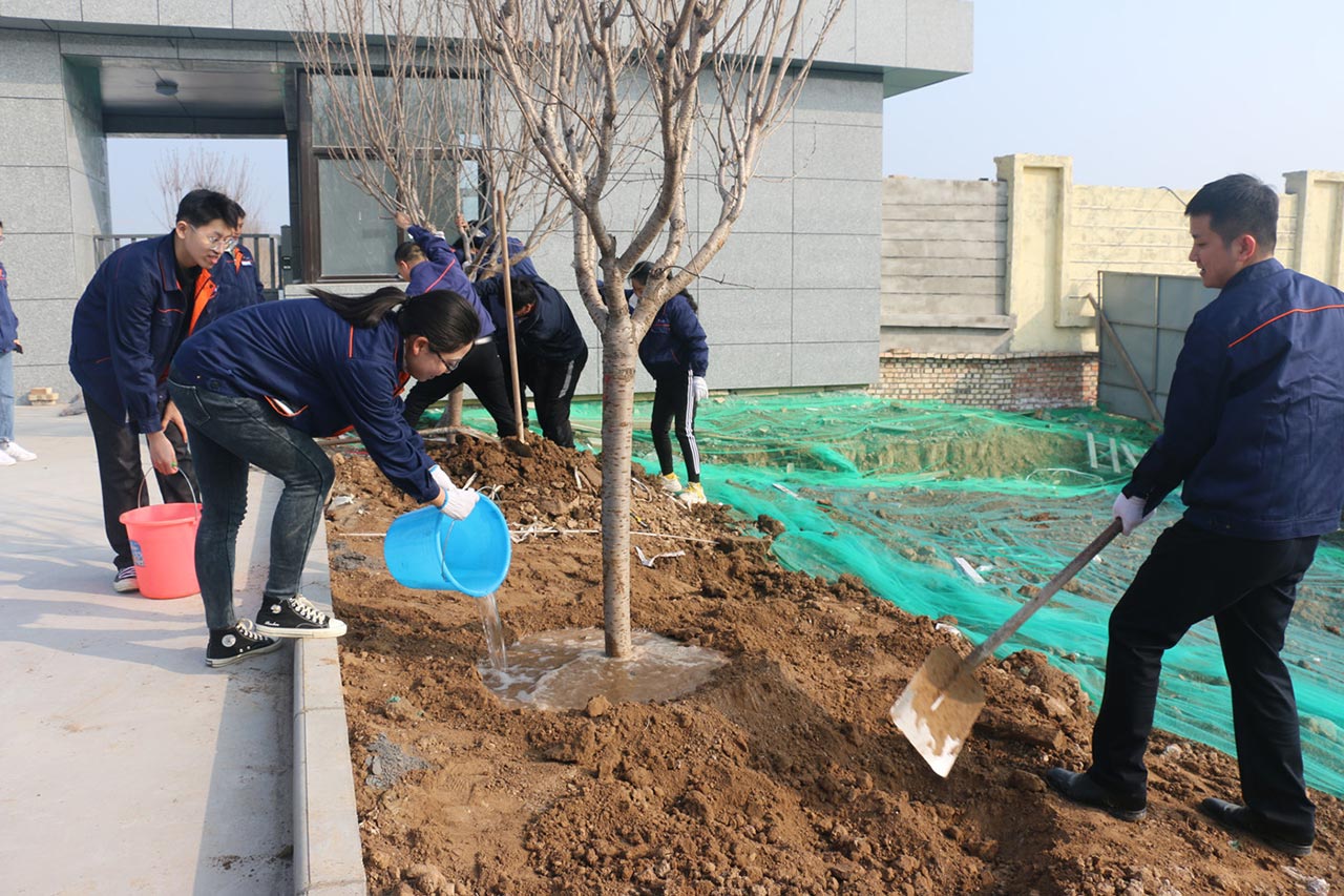 三合一送料機工廠植樹